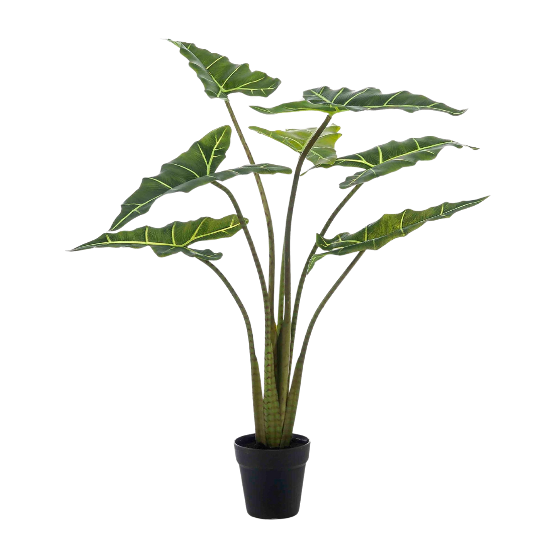 Kunstplant - Alocasia Frydek - 80-100 cm