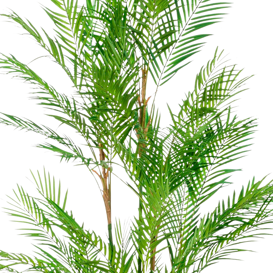 Kunstplant - Chamaedorea Elegans - 120-180 cm