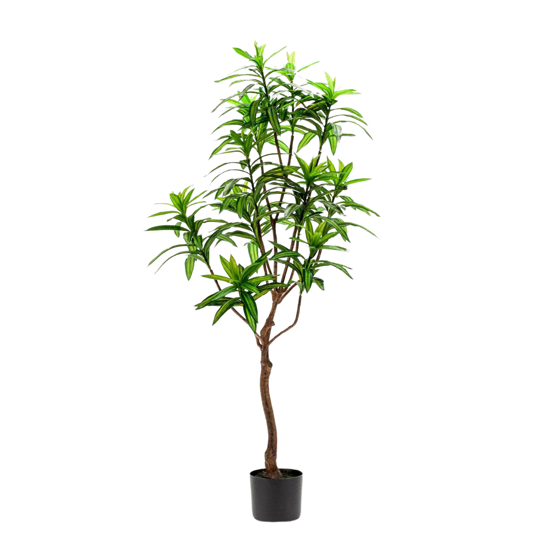 Kunstplant - Dracaena - 130-190 cm