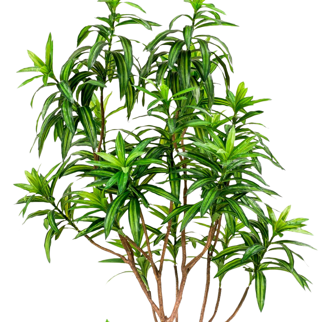 Kunstplant - Dracaena - 130-190 cm