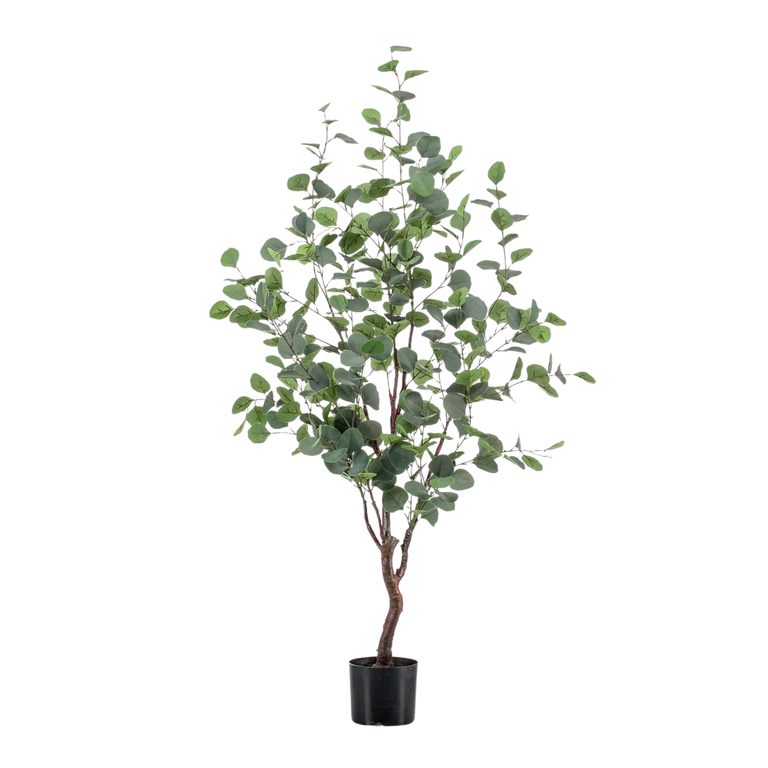 Kunstplant - Eucalyptus - 120-180 cm