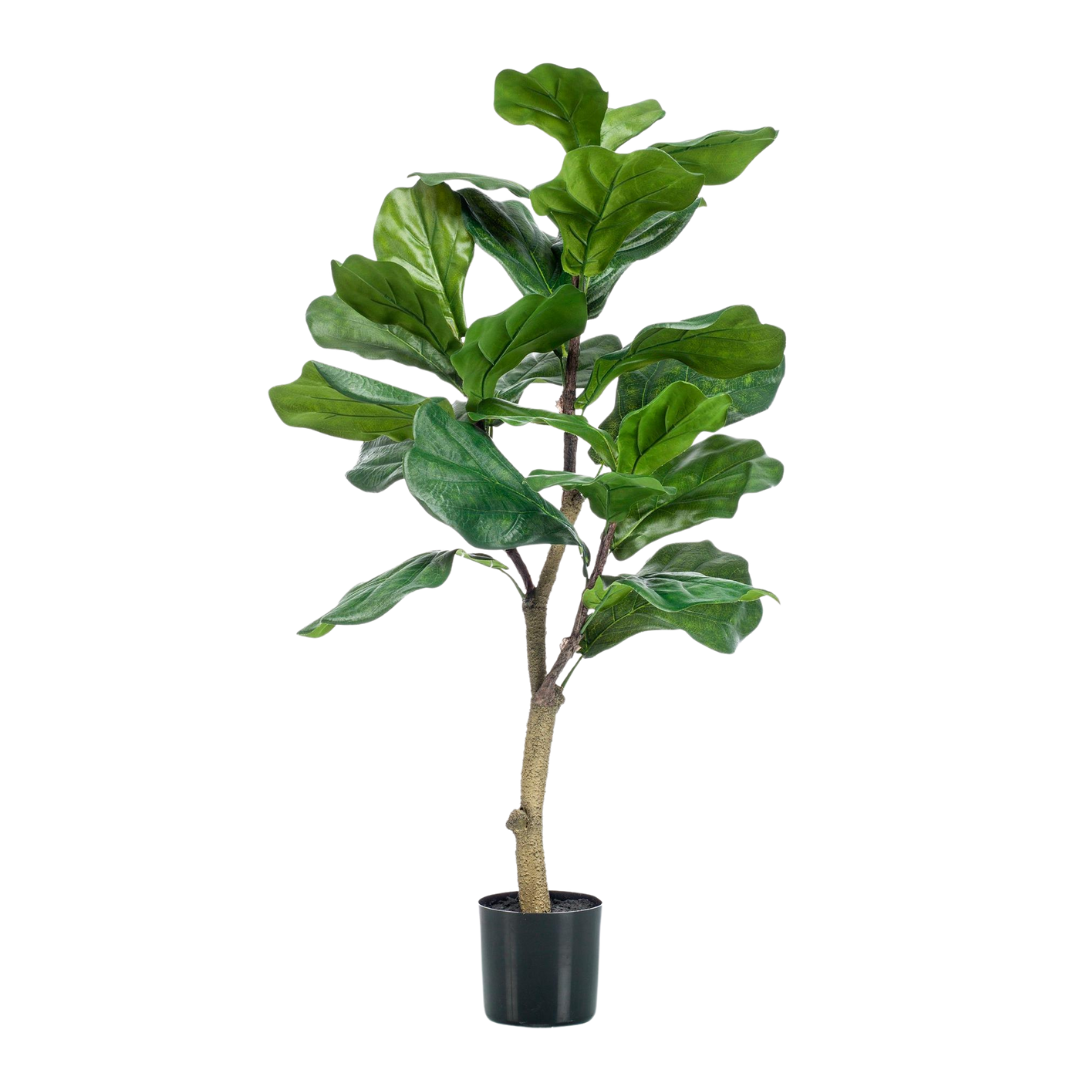 Kunstplant - Ficus Lyrata - 100-180 cm