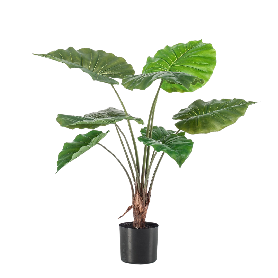 Kunstplant - Alocasia - 70-180 cm