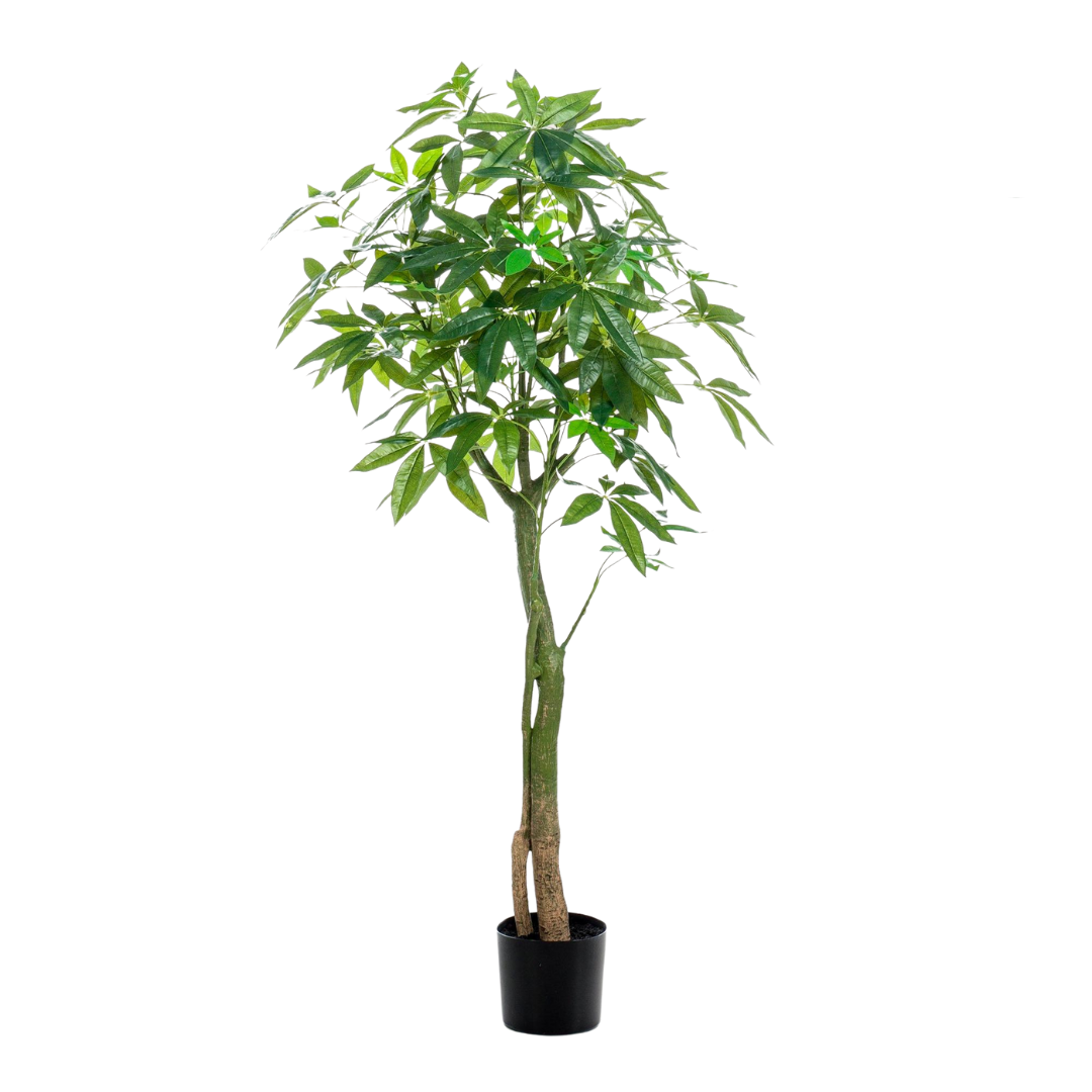 Kunstplant - Pachira Aquatica - 150-180 cm