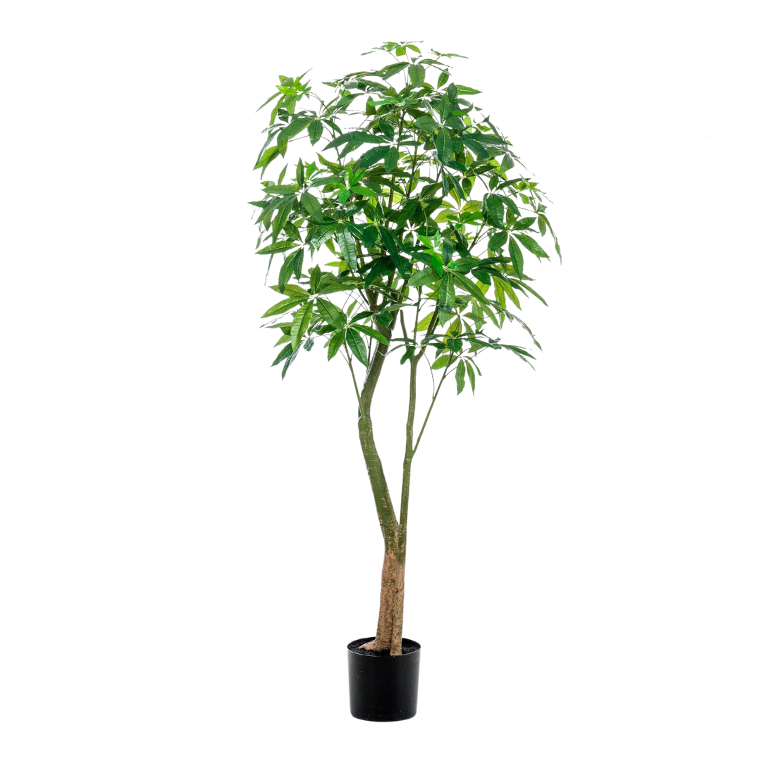 Kunstplant - Pachira Aquatica - 150-180 cm