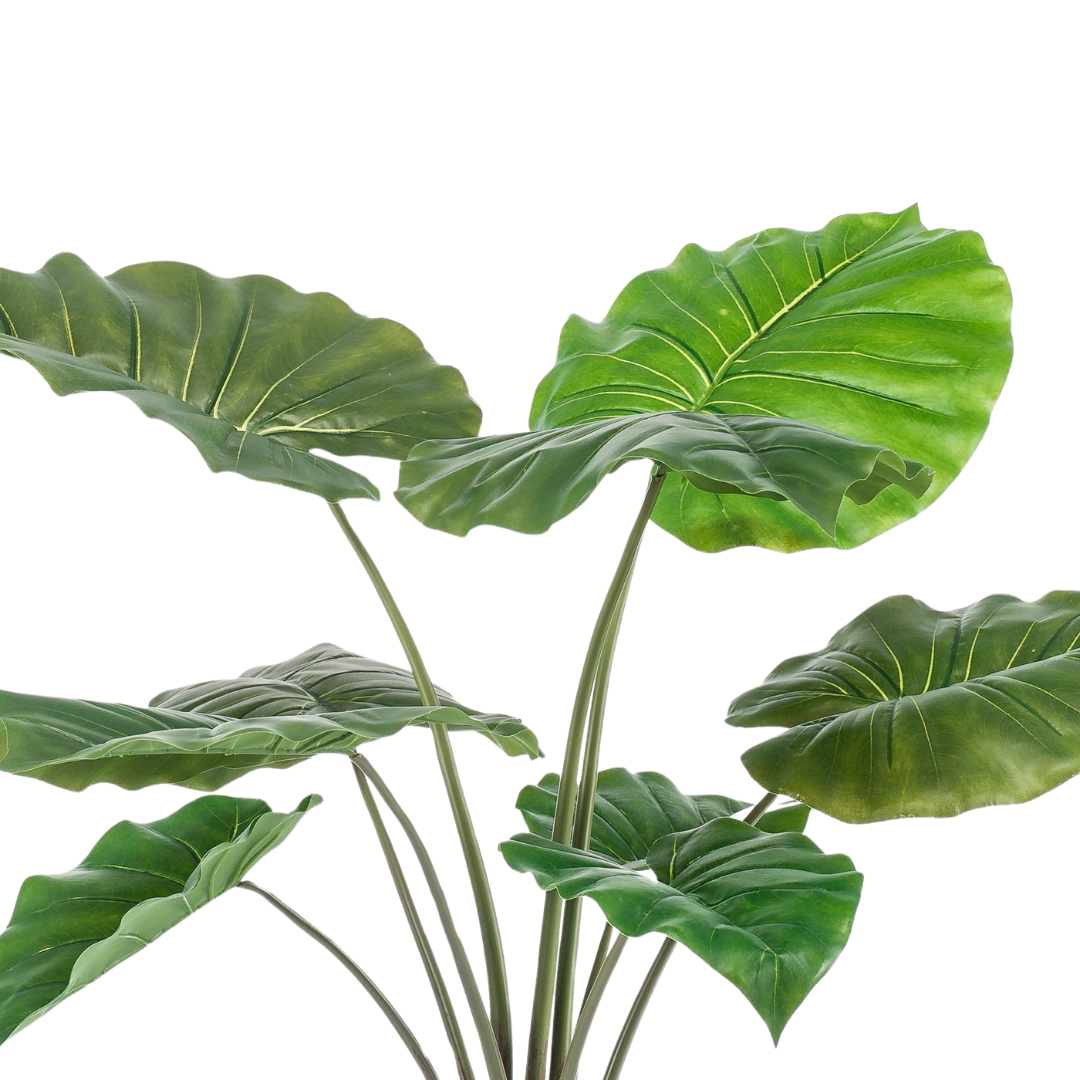 Kunstplant - Alocasia - 70-180 cm