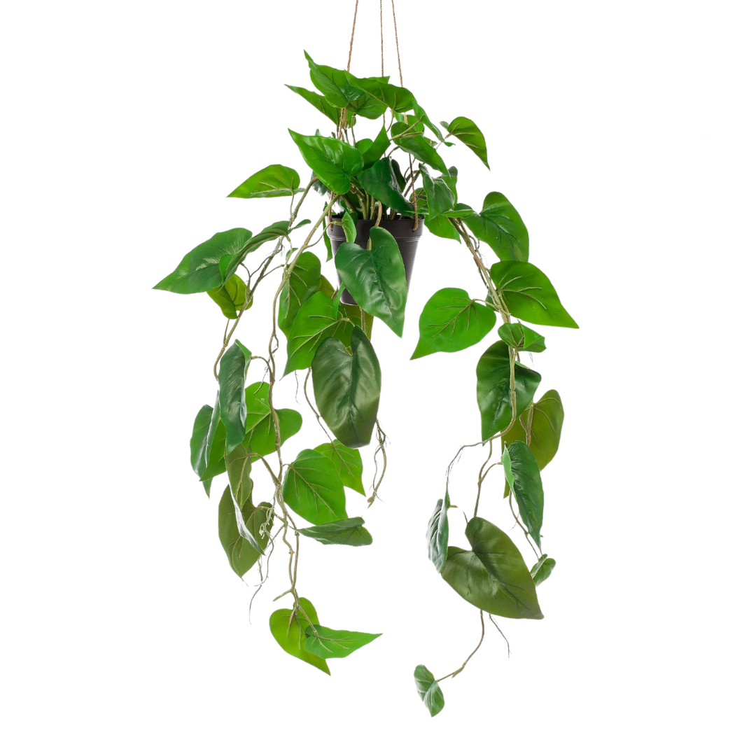 Kunstplant - Philodendron Scandens - 80 cm