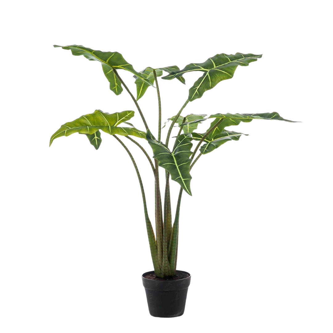 Kunstplant - Alocasia Frydek - 80-100 cm