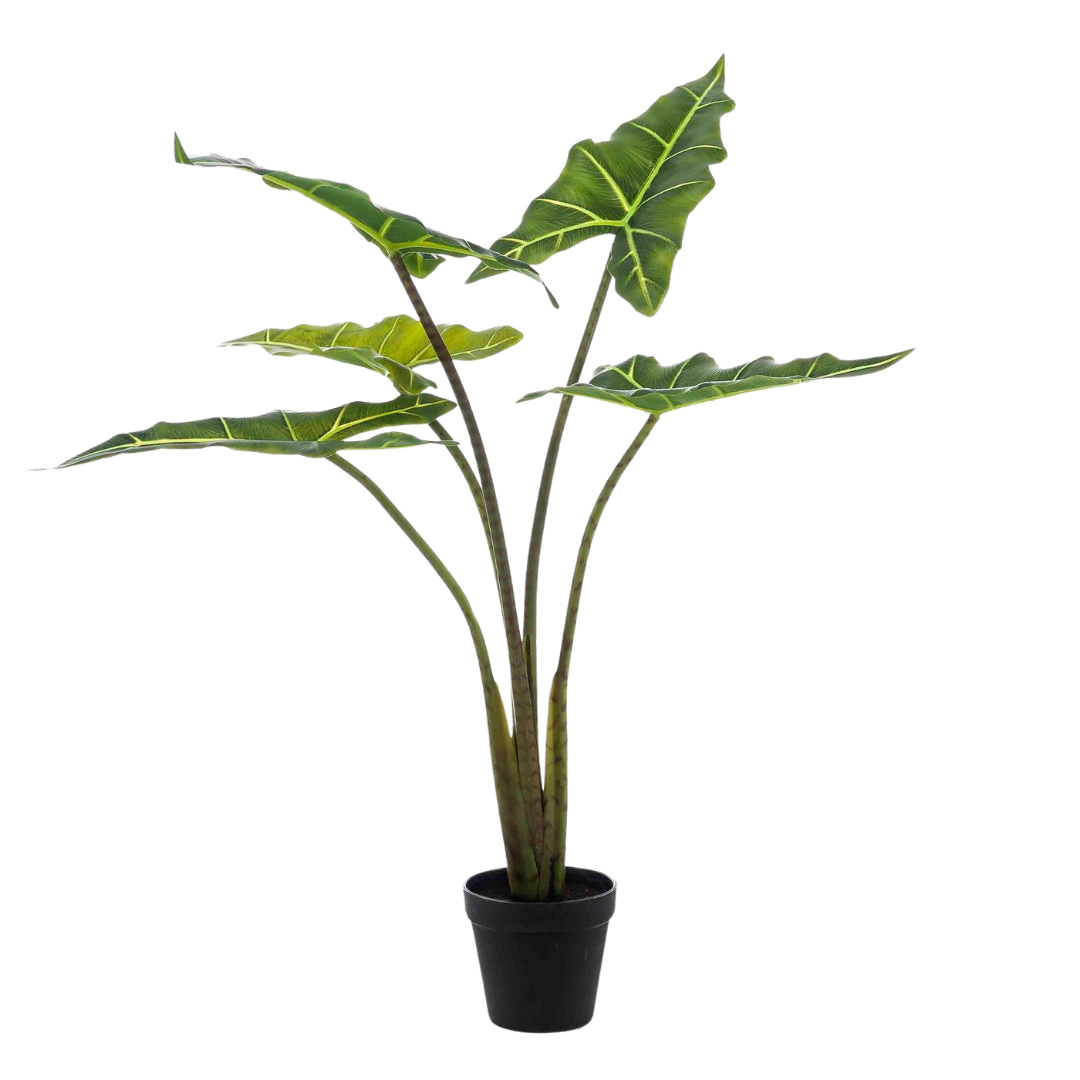 Kunstplant - Alocasia Frydek - 80-100 cm