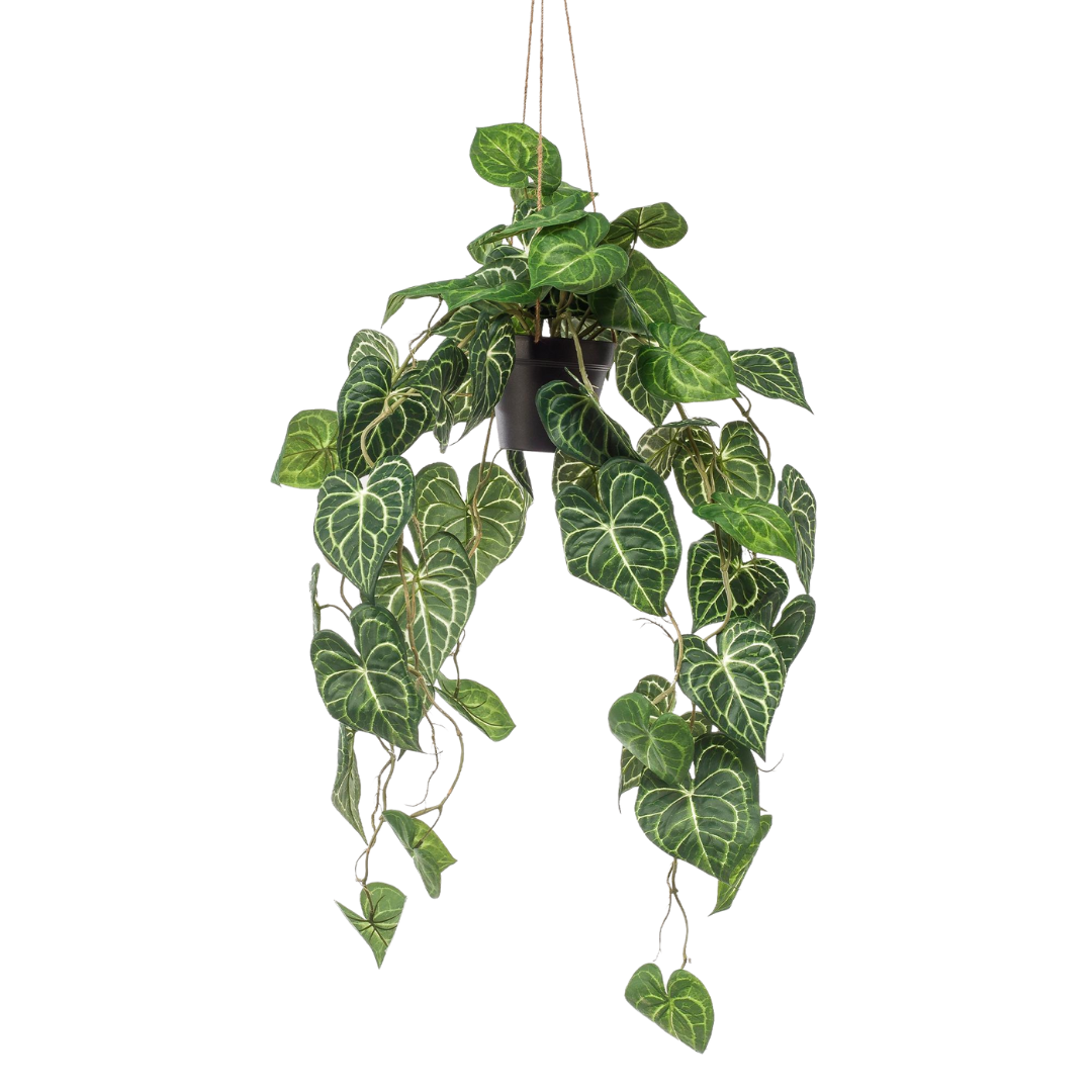 Kunstplant | Anthurium Clarinervium | ↕80 cm