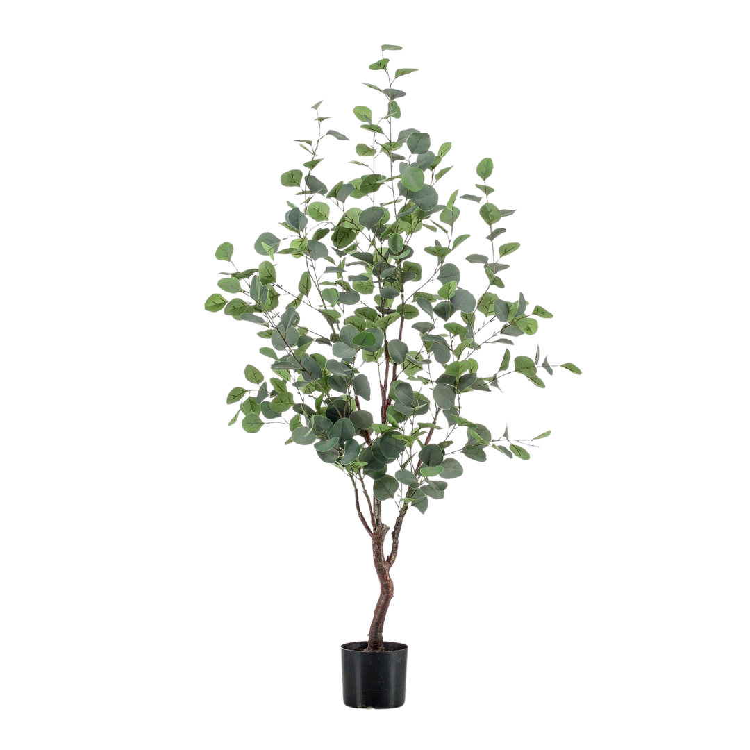 Kunstplant | Eucalyptus | ↕120 cm