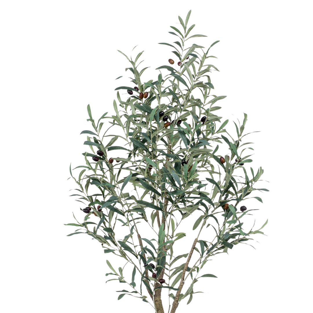 Kunstplant | Olea Europaea | ↕140 cm
