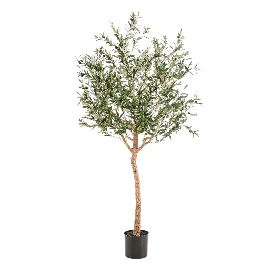 Kunstplant | Olea Europaea | ↕180 cm