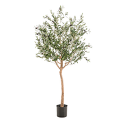 Kunstplant | Olea Europaea | ↕180 cm