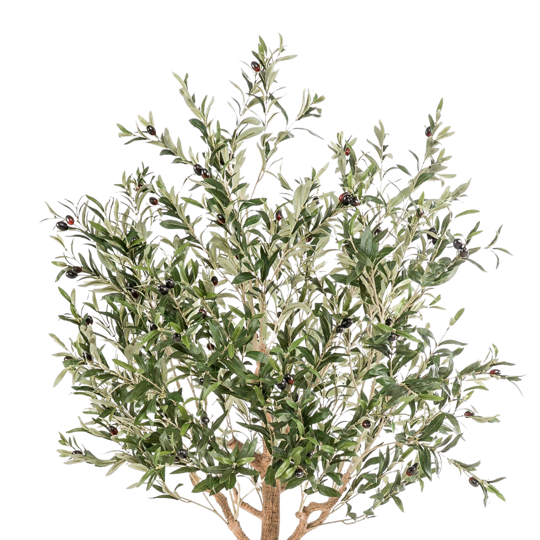 Kunstplant | Olea Europaea | ↕180 cm
