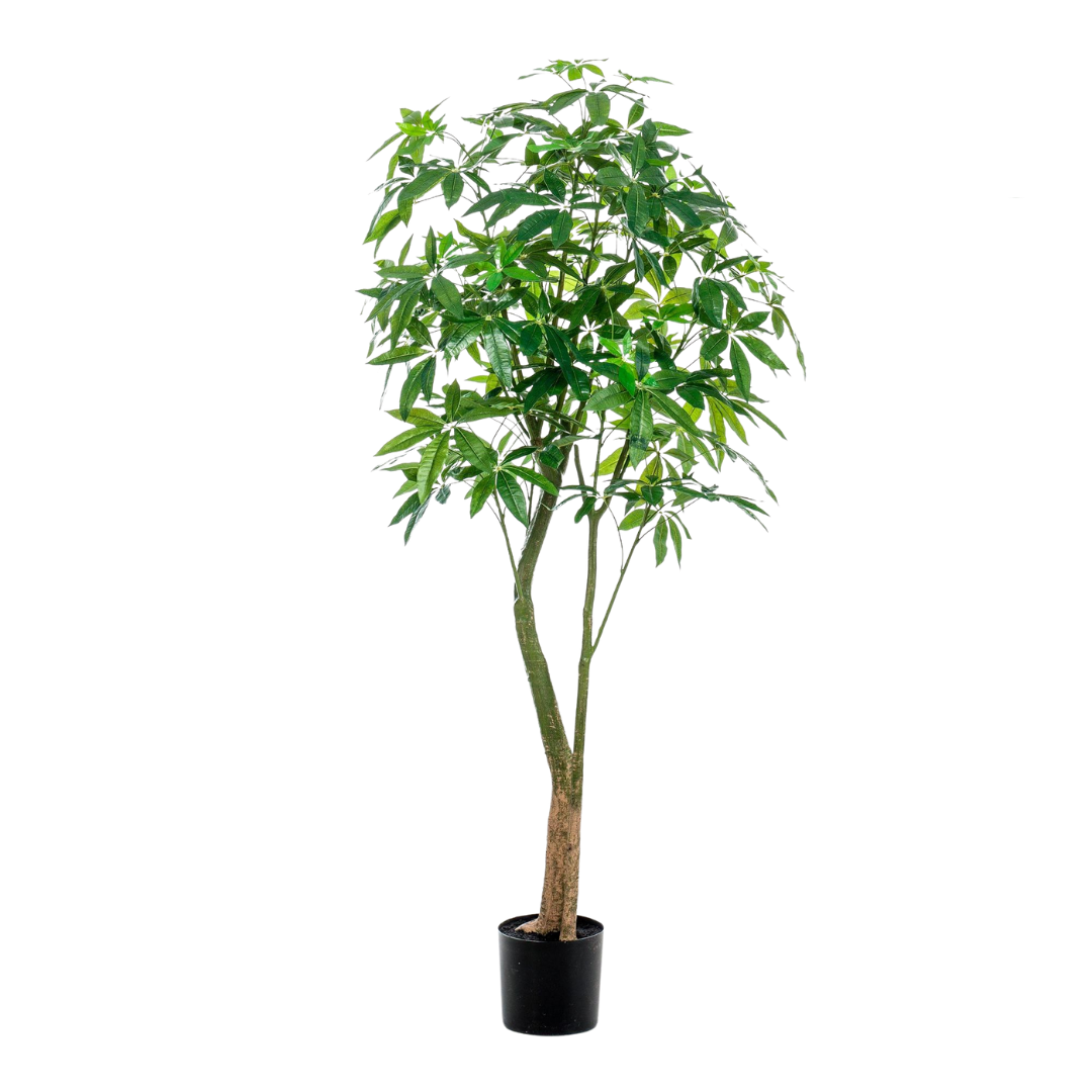 Kunstplant | Pachira Aquatica | ↕180 cm
