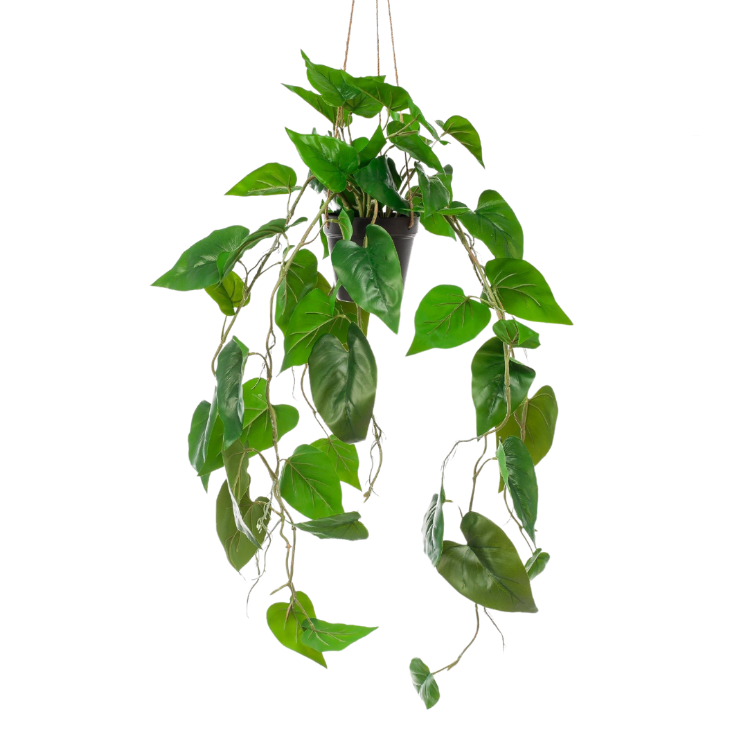 Kunstplant | Philodendron Scandens | ↕80 cm