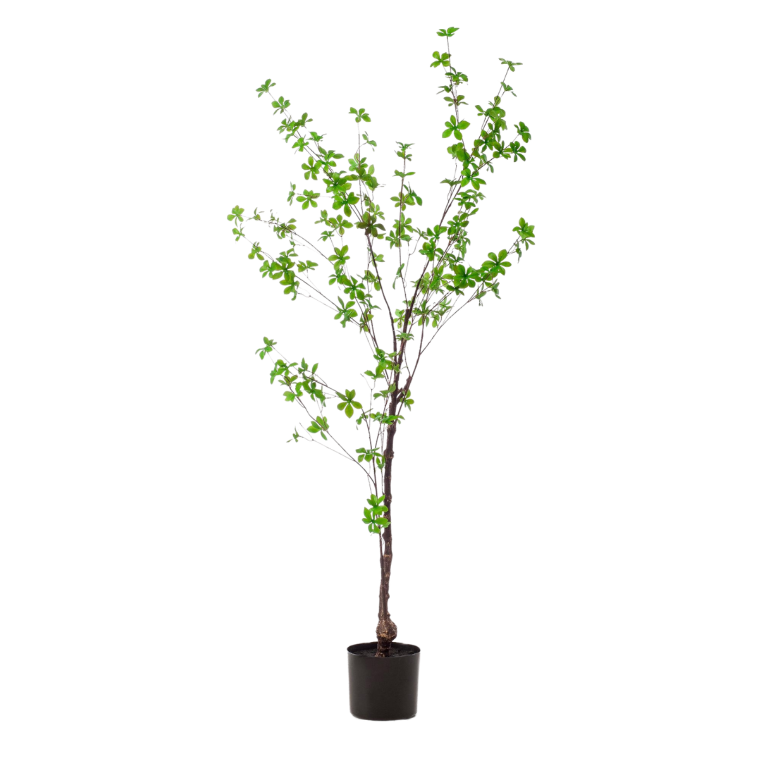 Kunstplant | Tropaeolum Speciosum | ↕150 cm