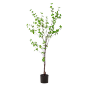 Kunstplant | Tropaeolum Speciosum | ↕150 cm