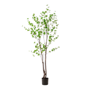 Kunstplant | Tropaeolum Speciosum | ↕210 cm