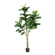 Kunstplant | Ficus Lyrata | ↕180 cm