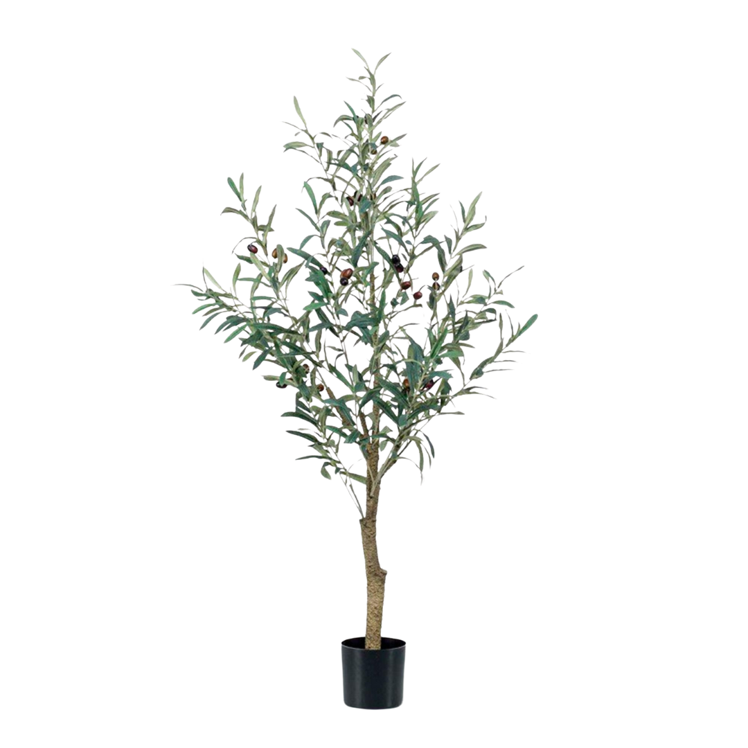 Kunstplant | Olea Europaea | ↕115 cm