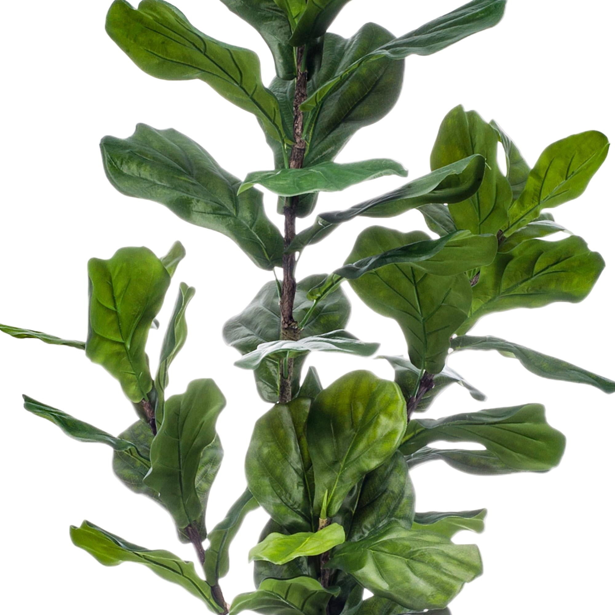 Kunstplant | Ficus Lyrata |↕150 cm