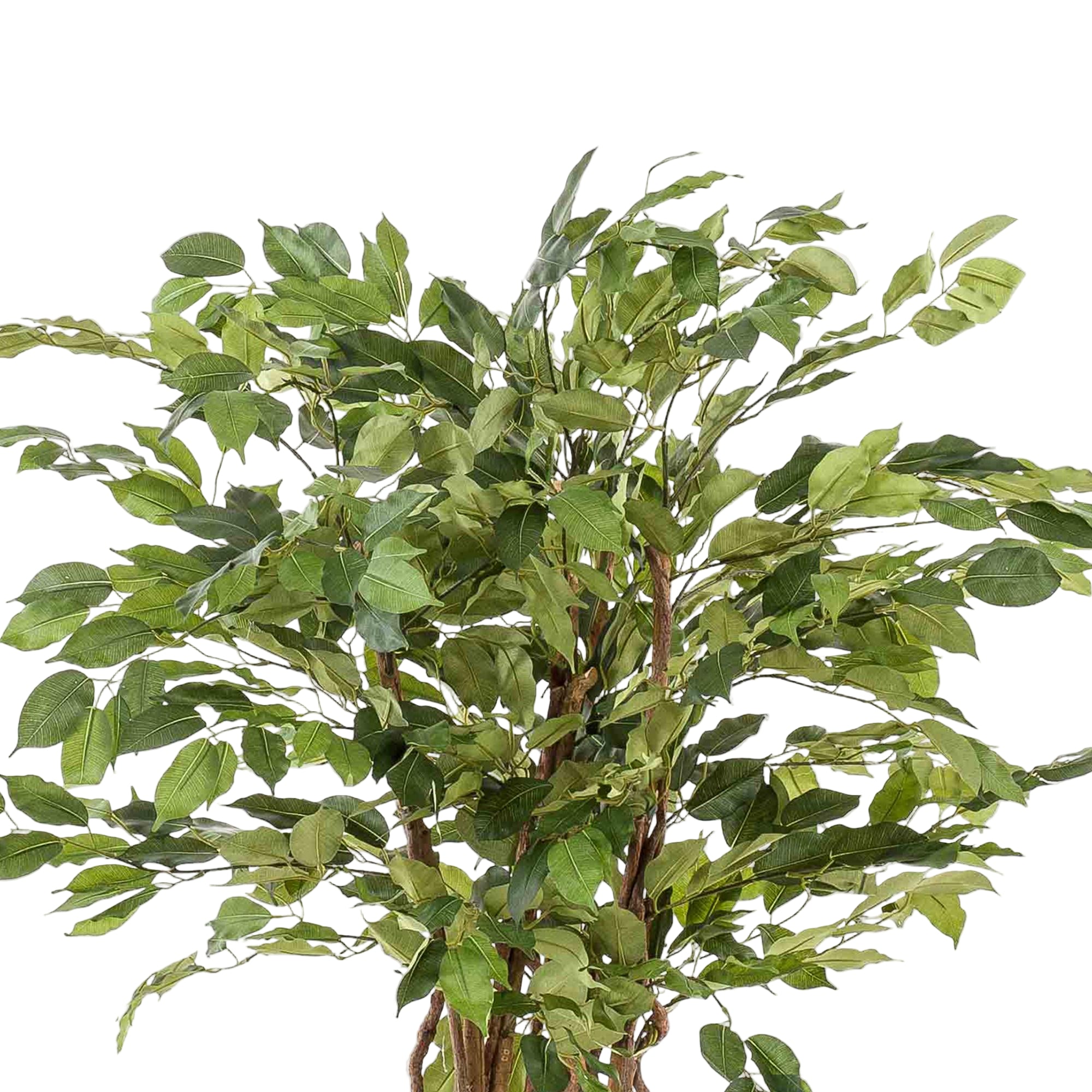 Kunstplant | Ficus Liana | ↕140 cm