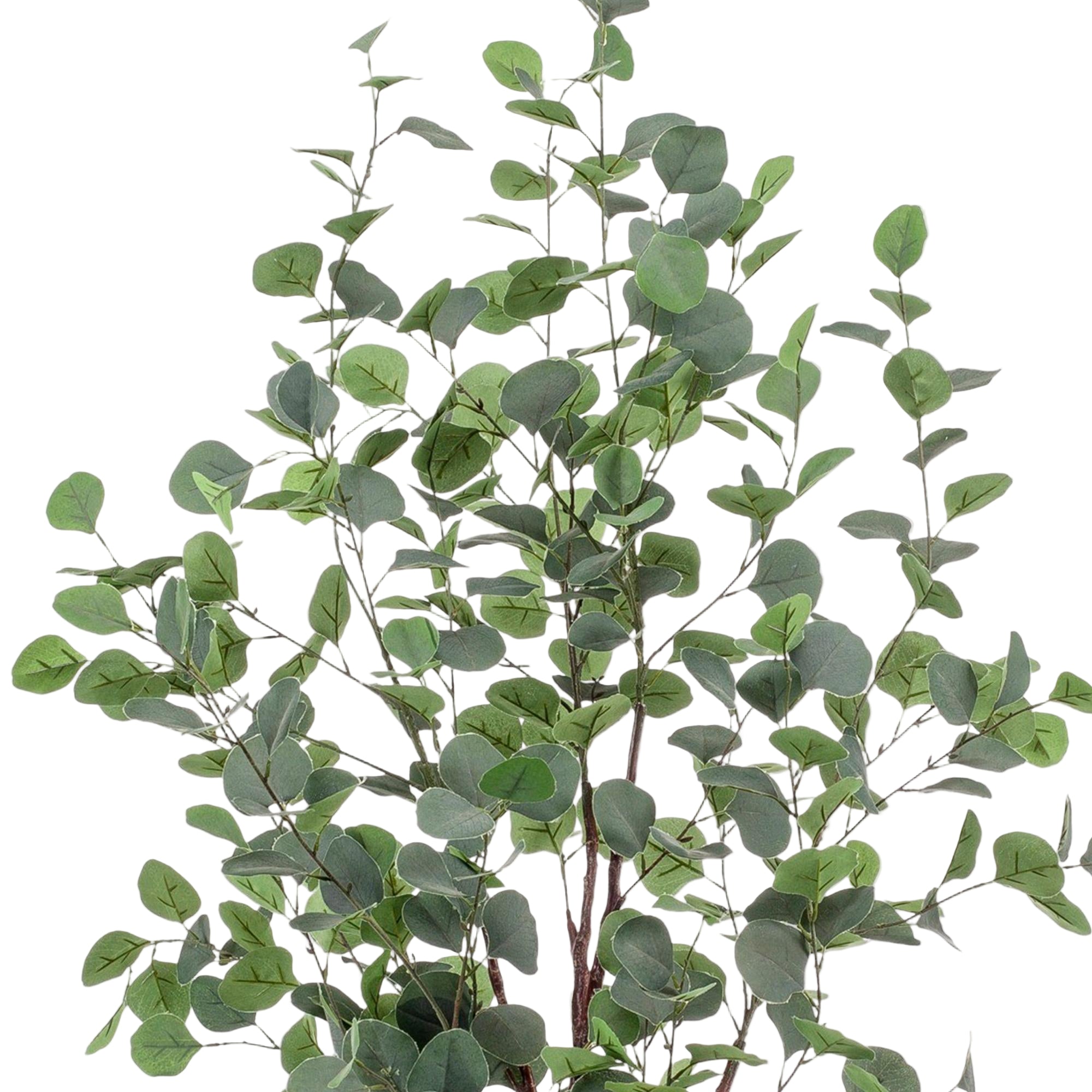 Kunstplant | Eucalyptus | ↕120 cm