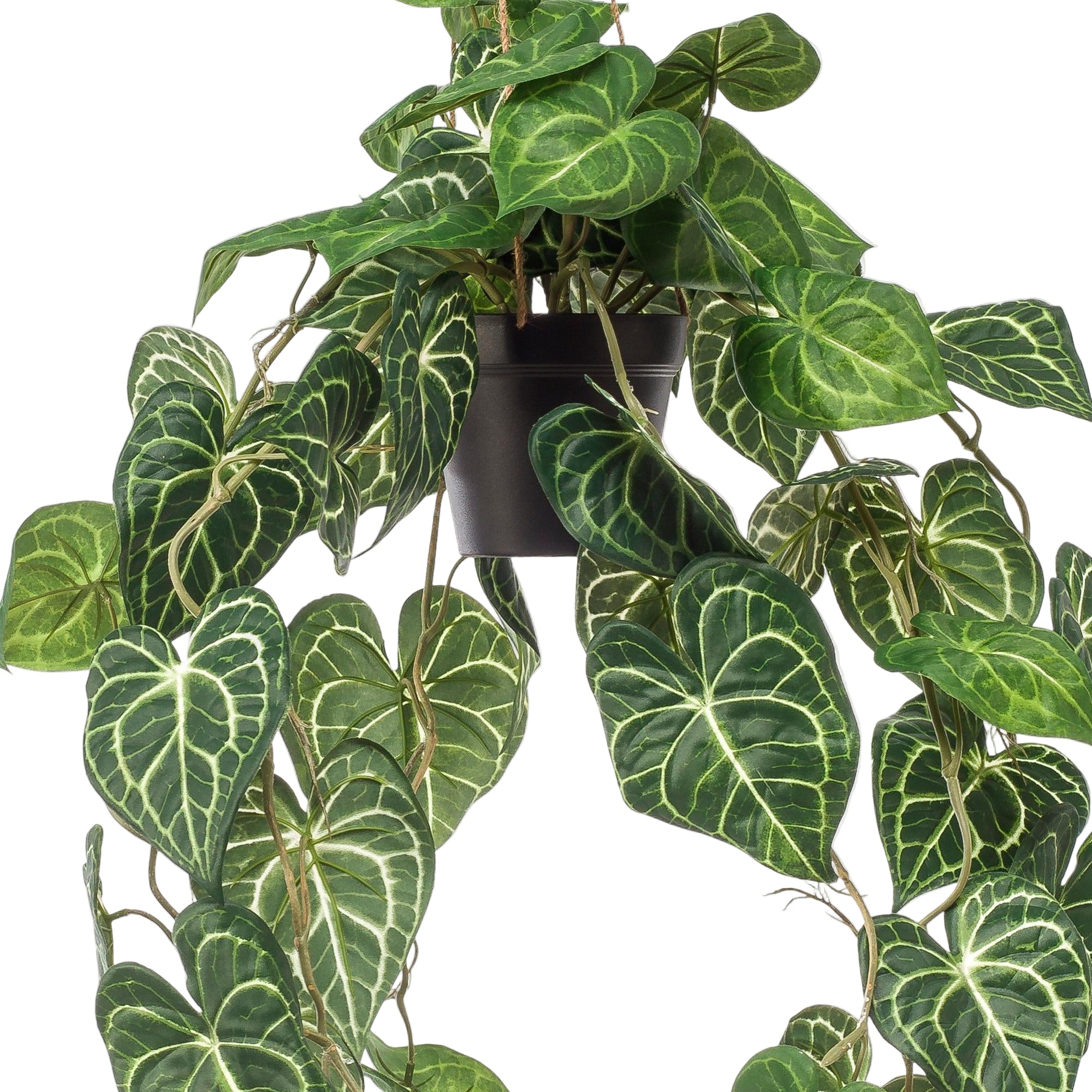 Kunstplant | Anthurium Clarinervium | ↕80 cm