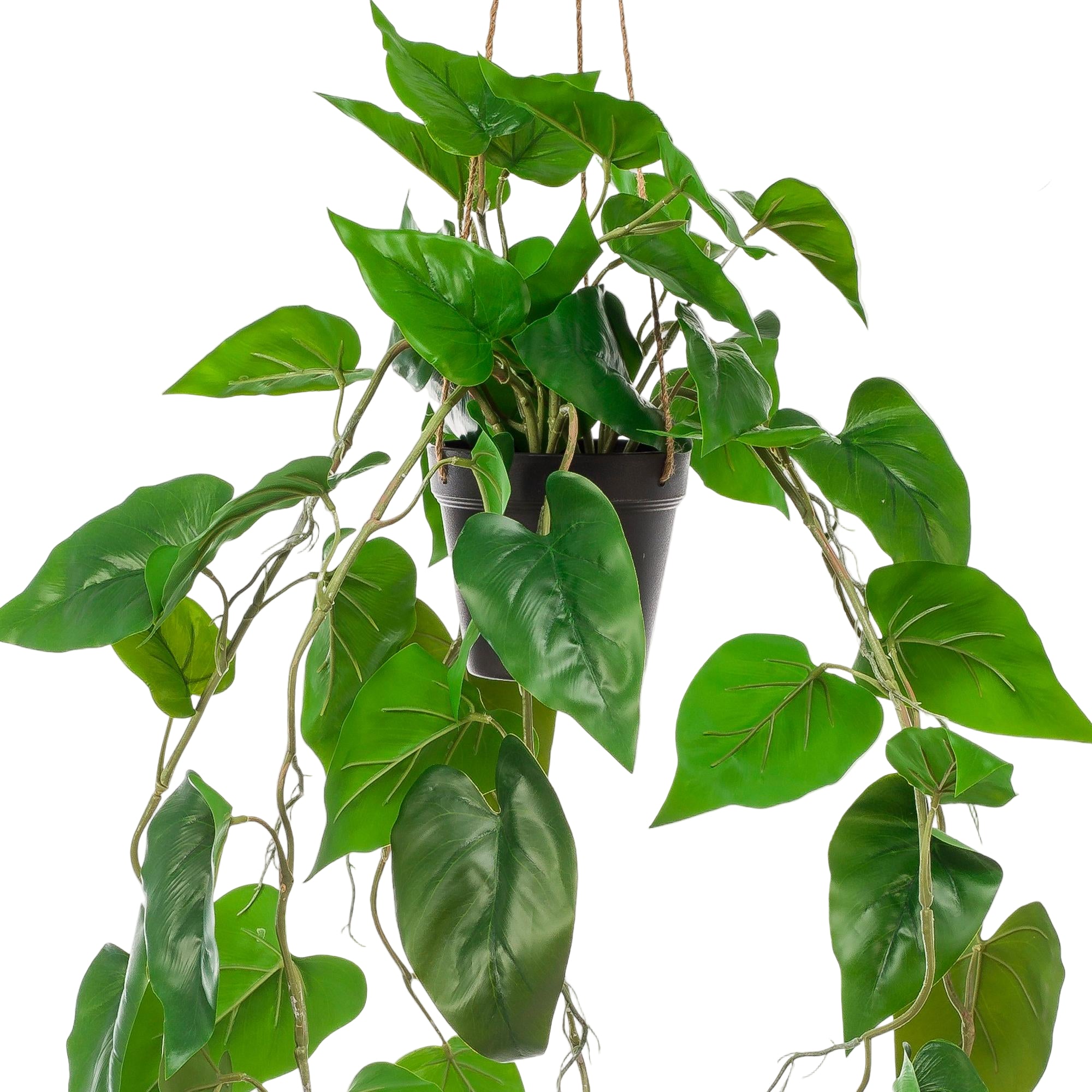 Kunstplant | Philodendron Scandens | ↕80 cm