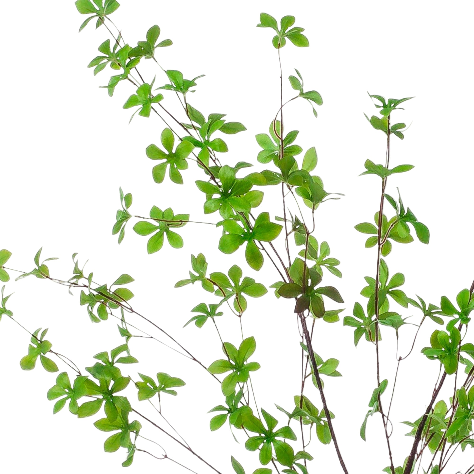 Kunstplant | Tropaeolum Speciosum | ↕150 cm