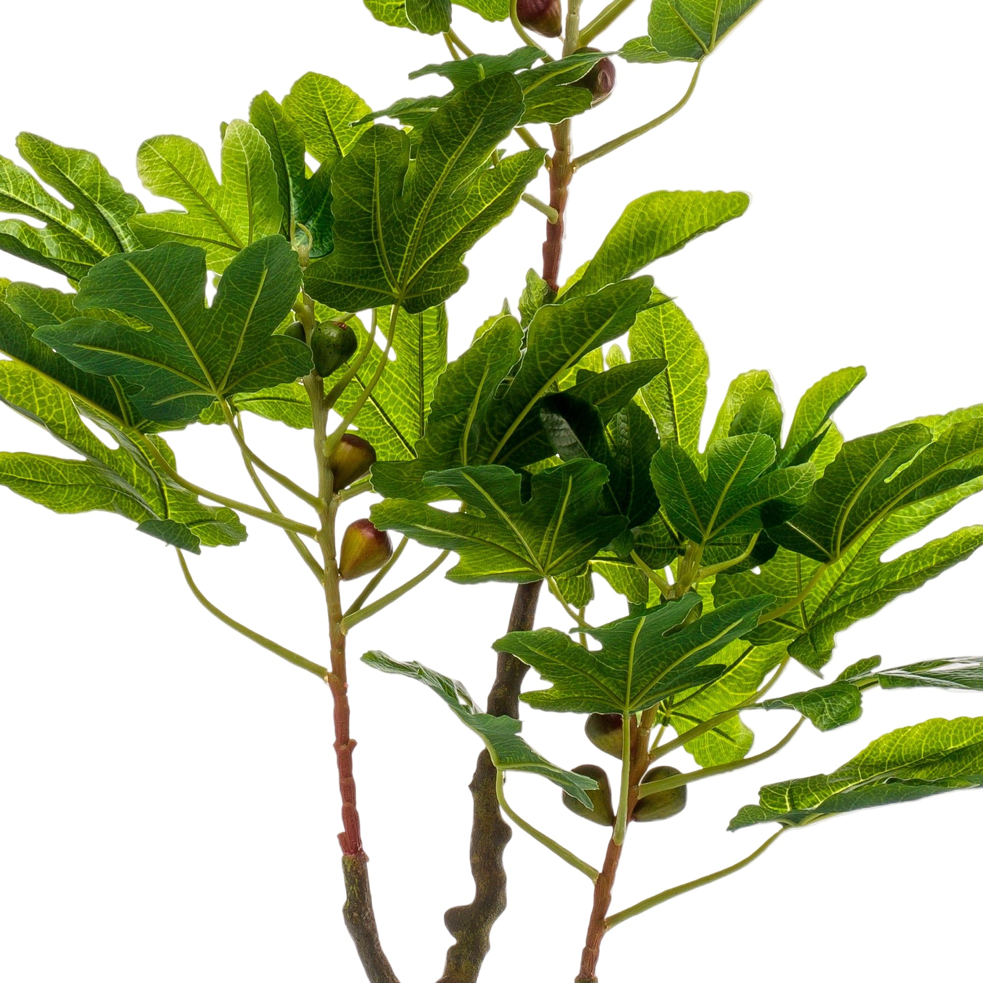 Kunstplant | Ficus Carica | ↕95 cm