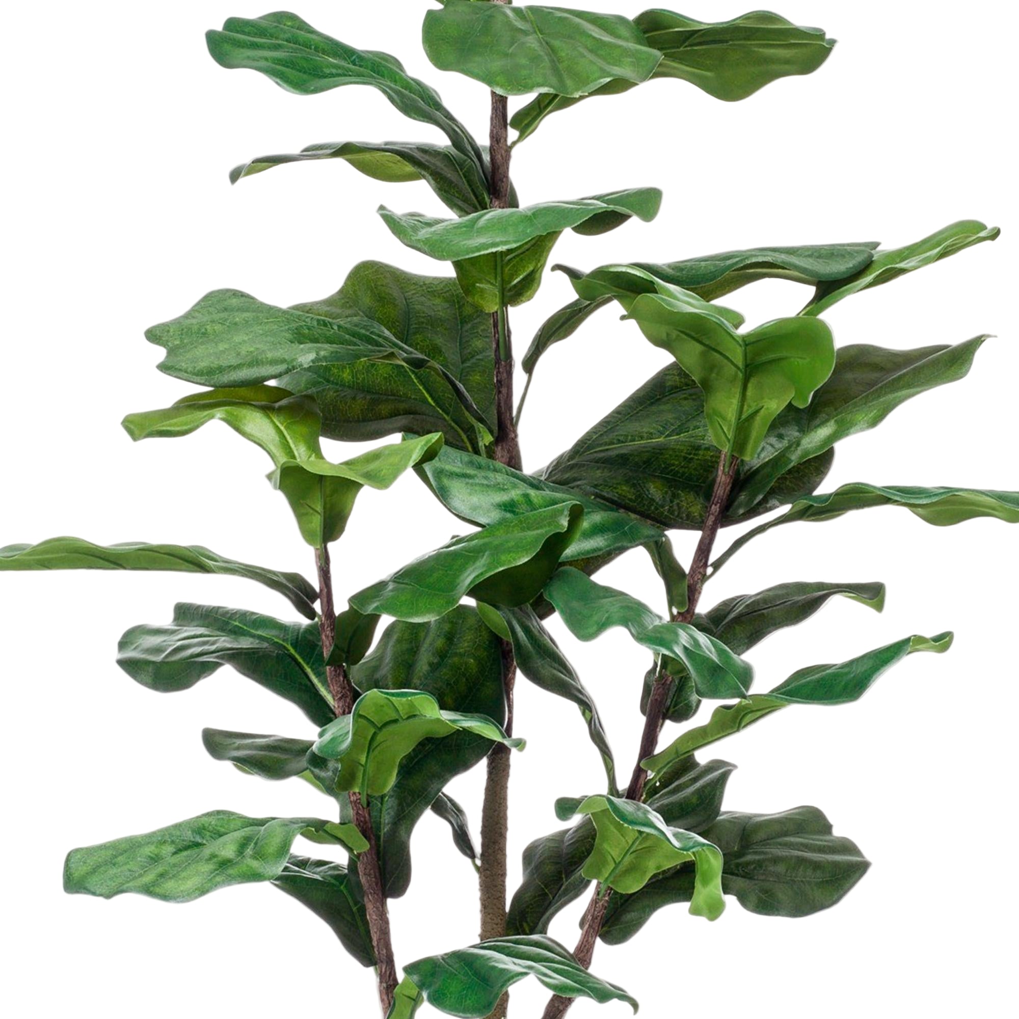 Kunstplant | Ficus Lyrata | ↕120 cm