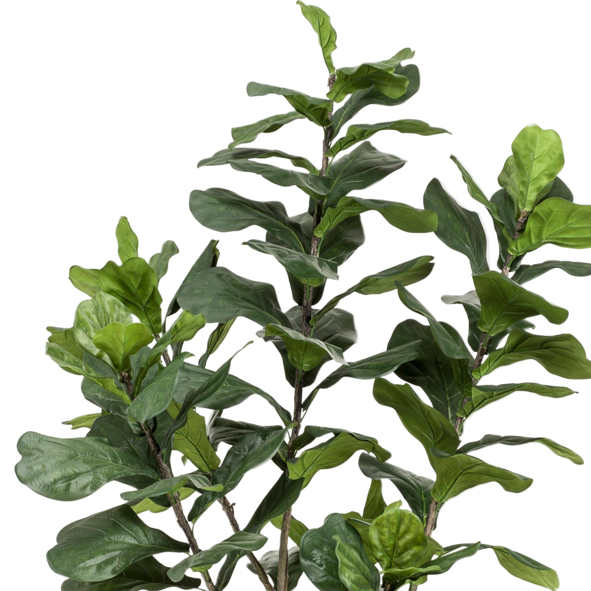 Kunstplant | Ficus Lyrata | ↑210 cm