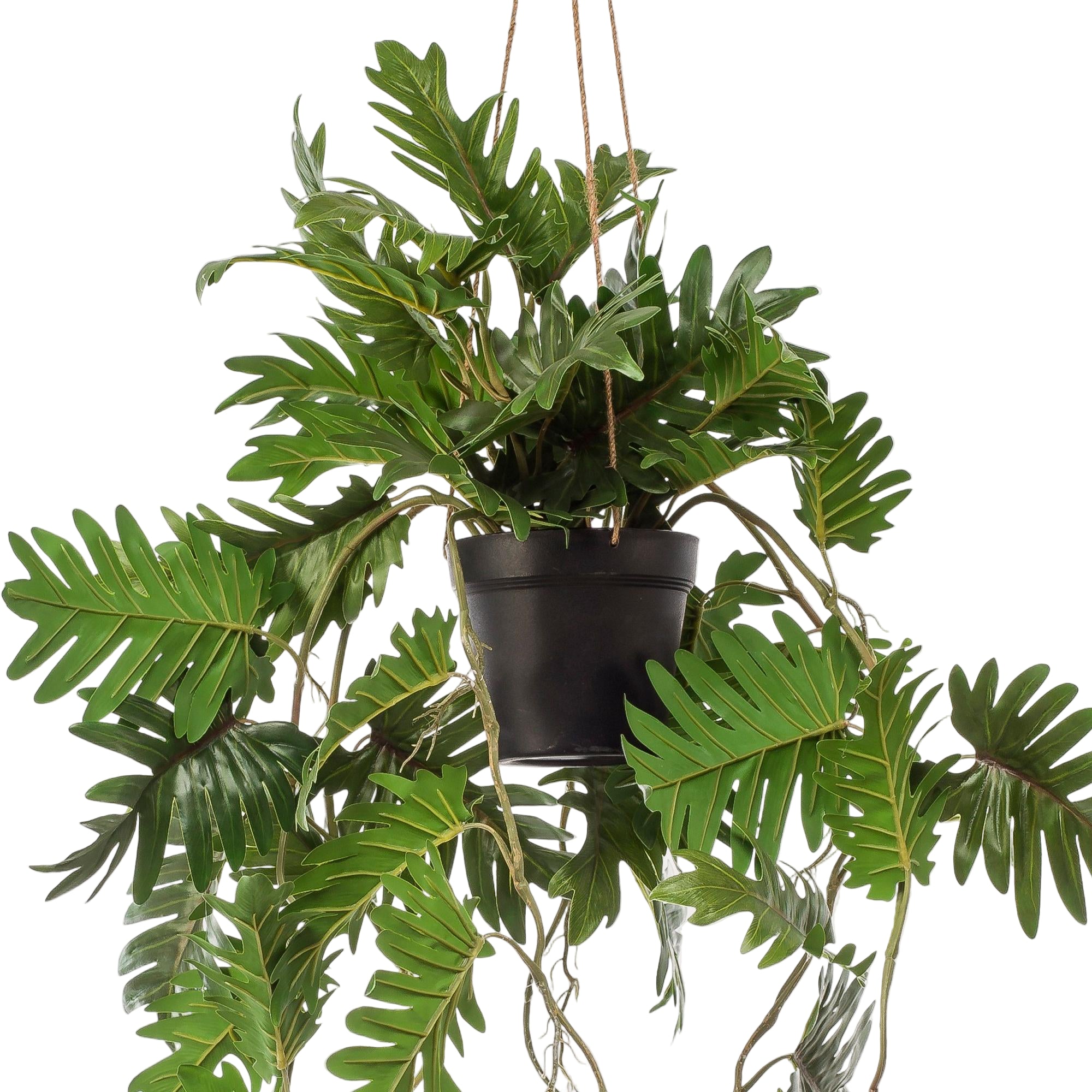 Kunstplant | Philodendron | ↕80 cm