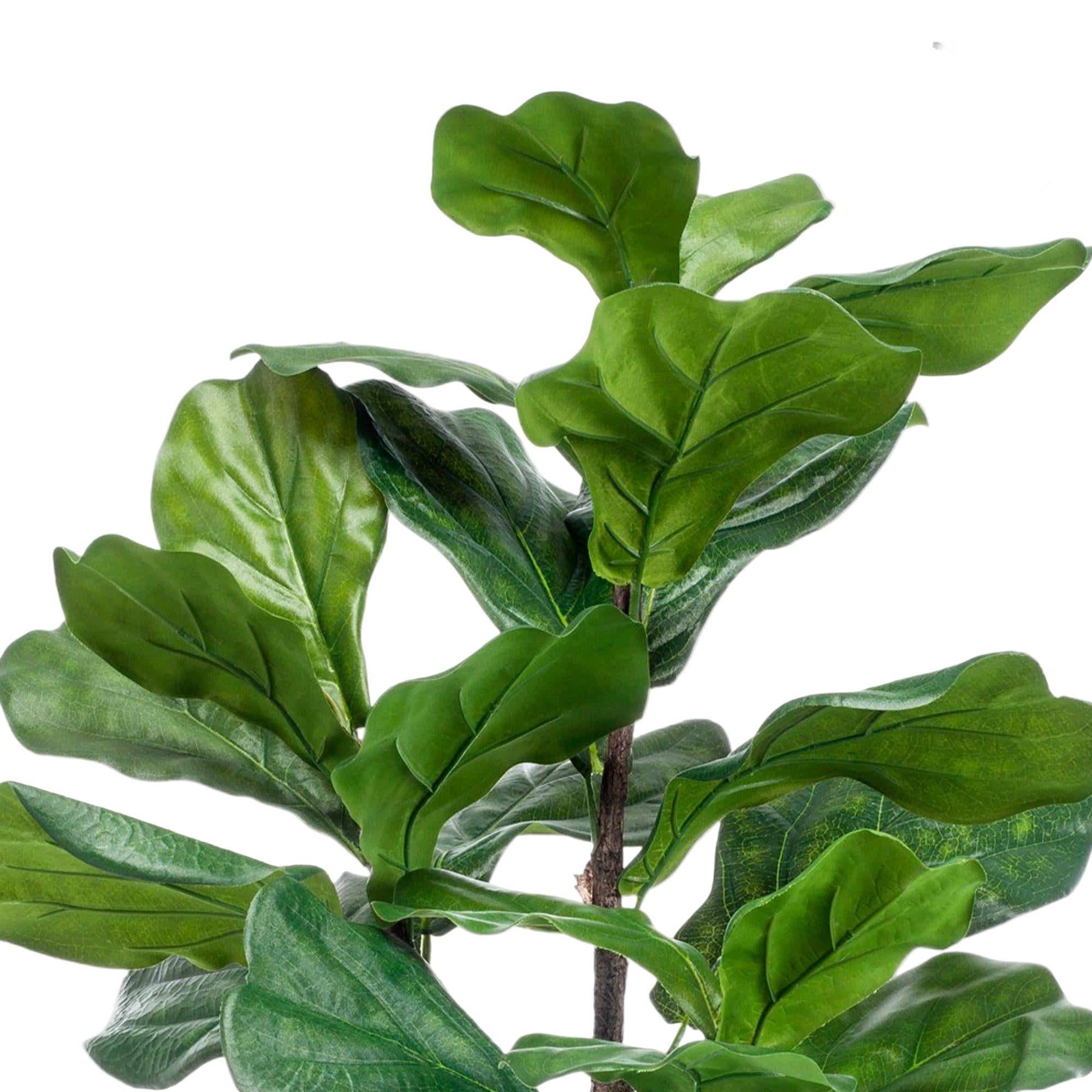 Kunstplant | Ficus Lyrata | ↕90 cm
