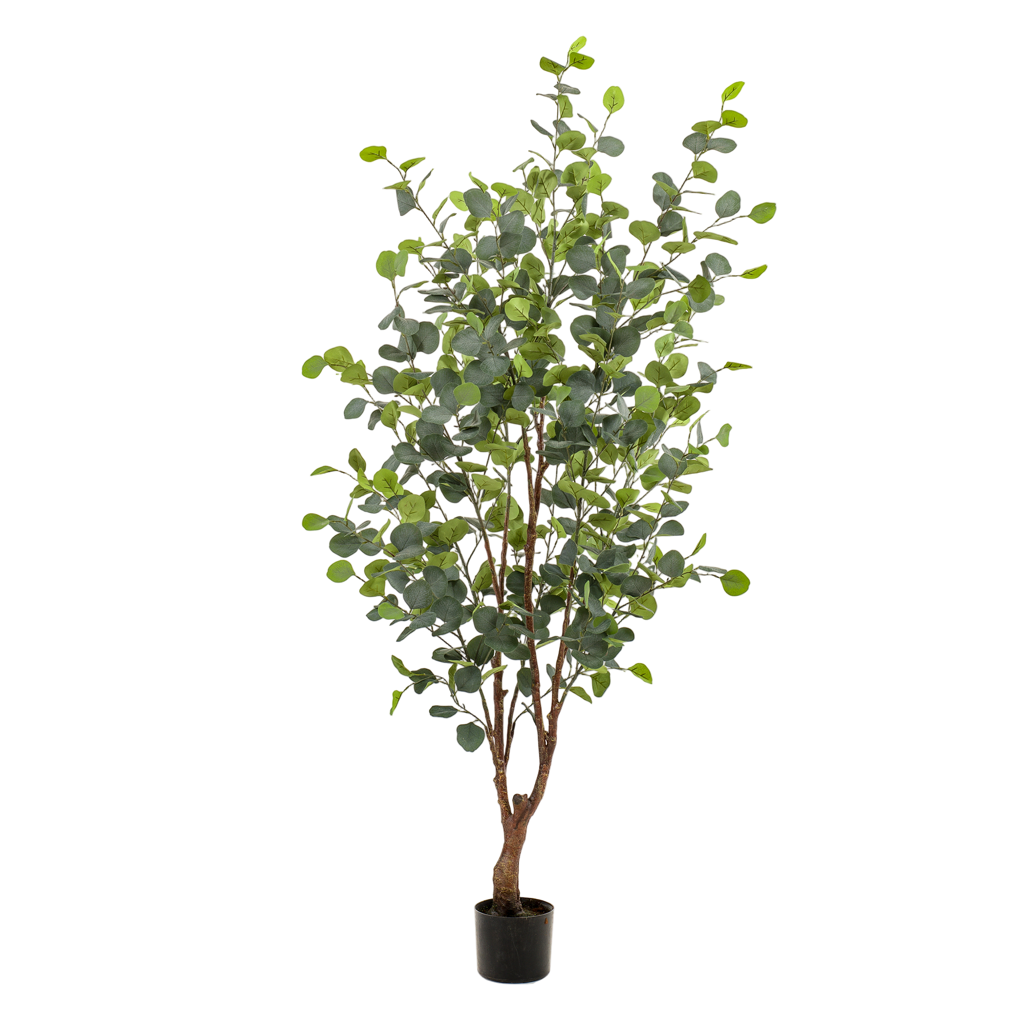 Kunstplant | Eucalyptus | ↕140 cm