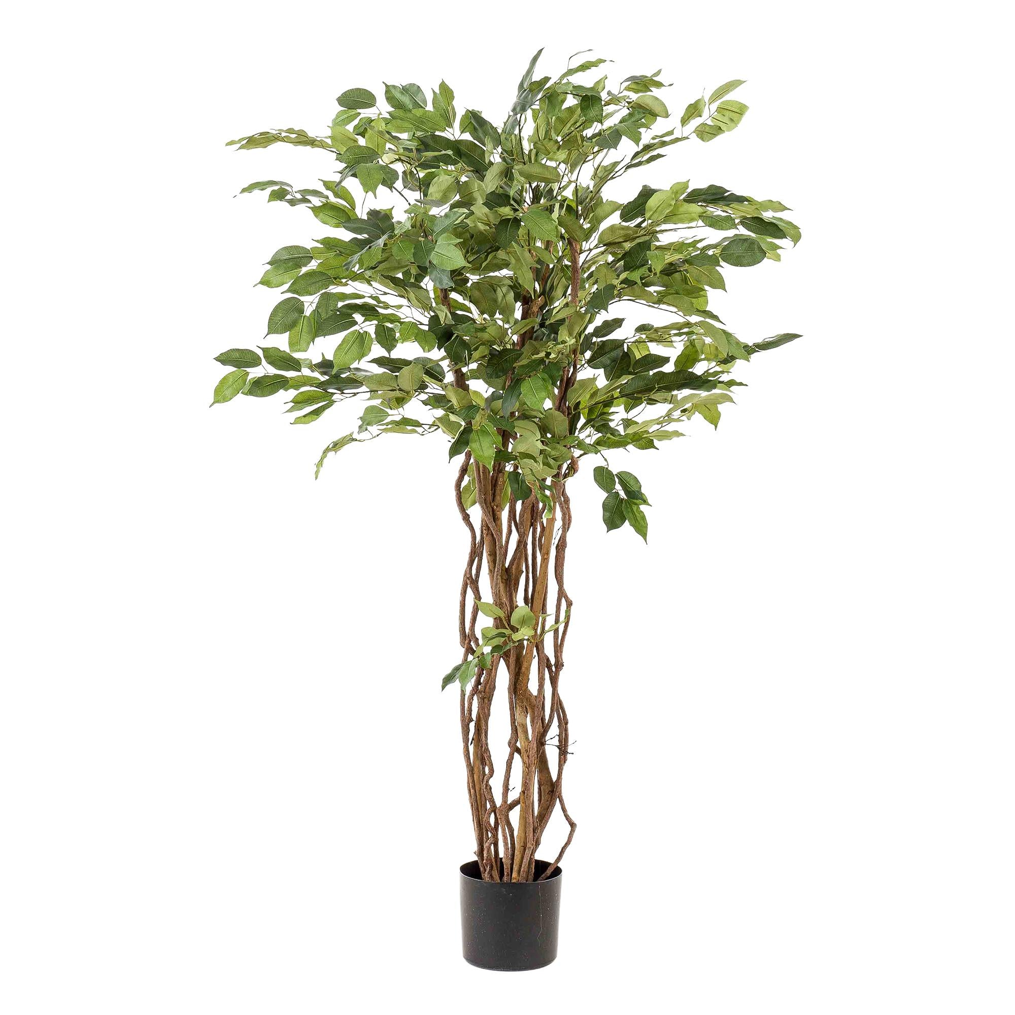 Kunstplant | Ficus Liana | ↕140 cm