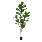 Kunstplant | Ficus Lyrata |↕150 cm