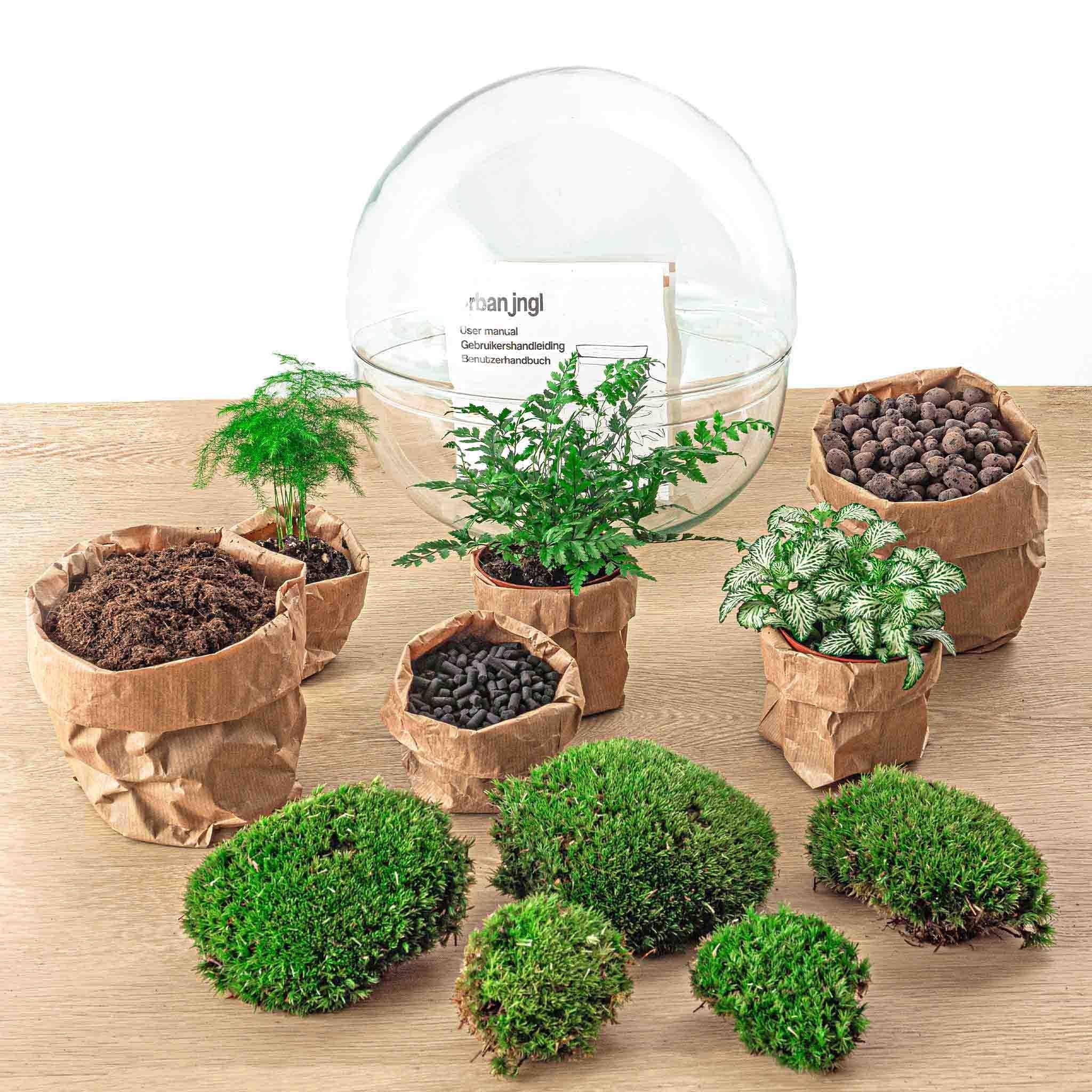 Terrarium - Botanic Bologna - 30 cm